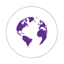 Global Regulatory Solutions Global Regulatory Solutions