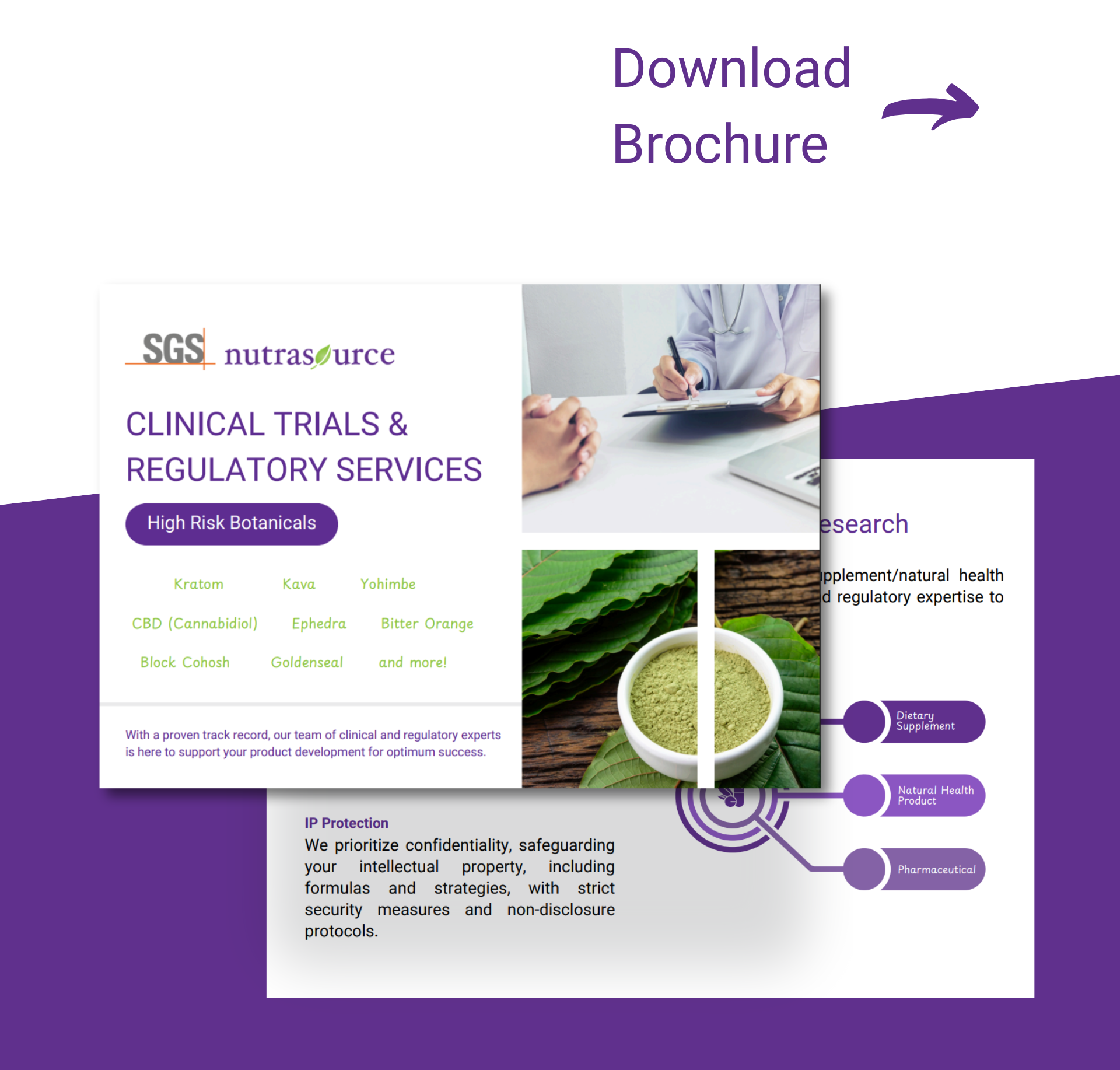 Download Capabilities Brochure