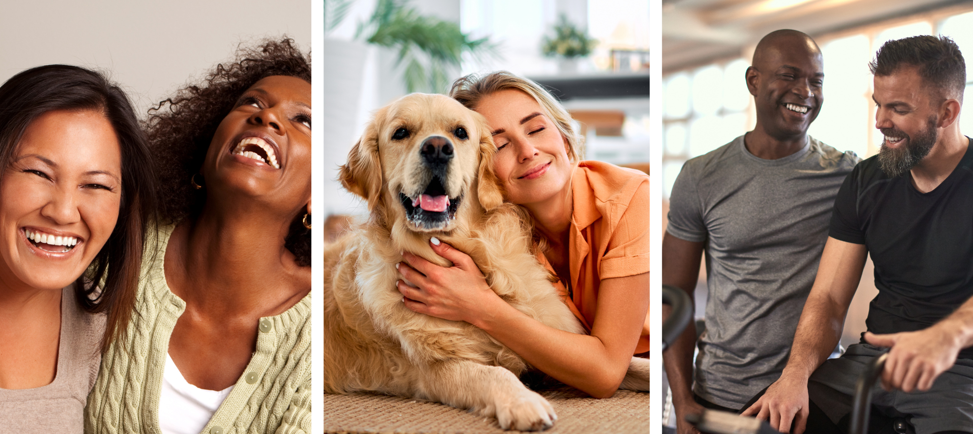 Biotics Capabilities Booklet - Clinical Trial and Regulatory Services for High Risk Botanicals-Final (2)